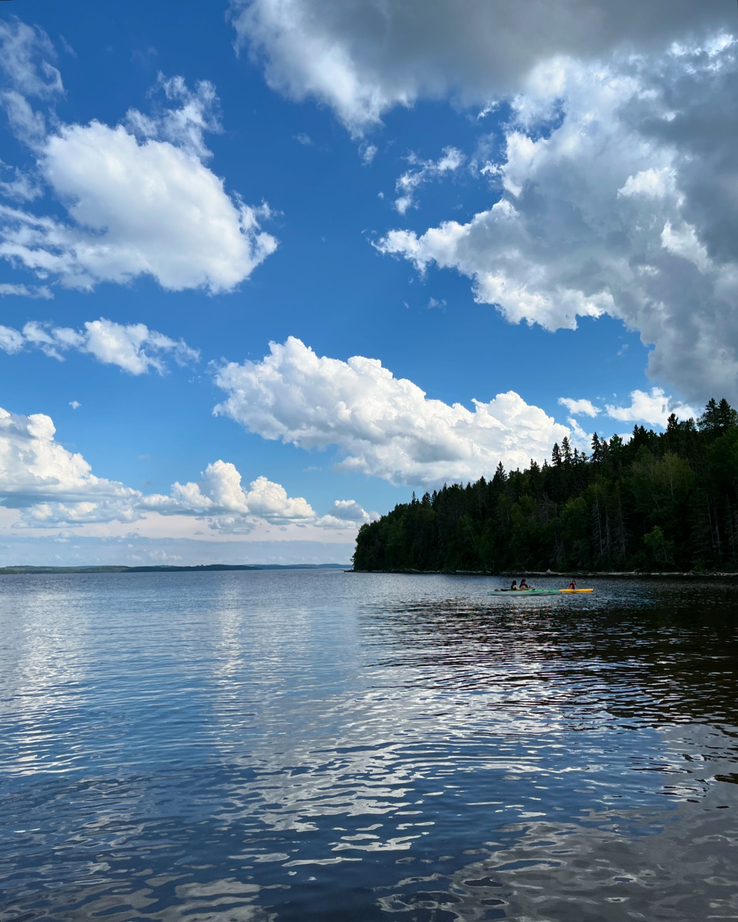 Lakeside reflection